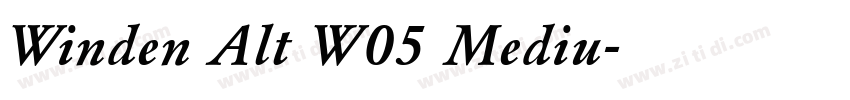 Winden Alt W05 Mediu字体转换
